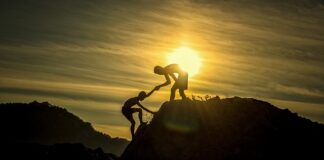 Na czym polega praca obieranie cebuli?