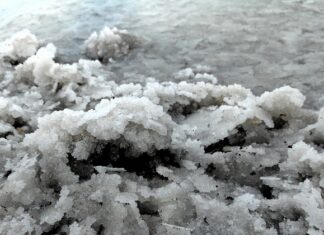 Jak uzupełnić magnez w akwarium?