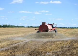 Kiedy najlepiej podawać nawozy do akwarium?