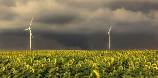 W jakiej kolejności sprzątać dom?