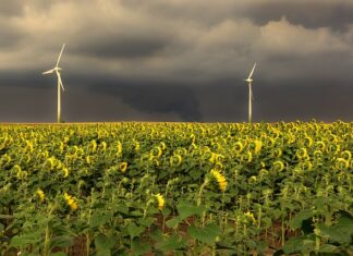 W jakiej kolejności sprzątać dom?