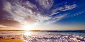 Kto wymyślił picie herbaty?