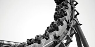 Ile kosztuje Roller do twarzy?