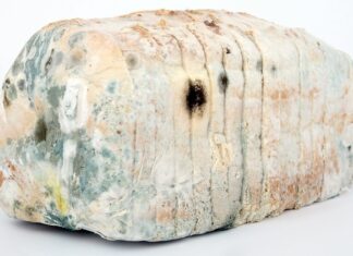 Jak zdezynfekować łazienkę?