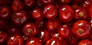 Czy to dobrze jak się pierdzi?