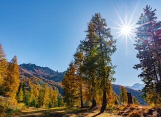 Jak się robi masę do ciasta?