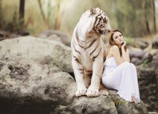 Jak zrobić indyjską herbatę? Jak zrobić indyjską herbatę?