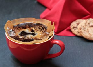 Jak często wymieniać filtr węglowy w akwarium?