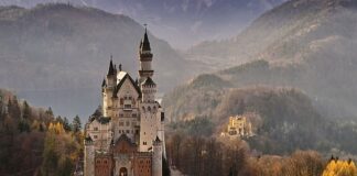 Jaki niemiecki proszek jest dobry?