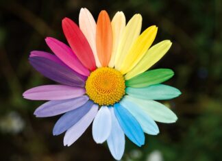 Jaki efekt daje zróżnicowana budowa wałków podczas zabiegu trwałej ondulacji? Jaki efekt daje zróżnicowana budowa wałków podczas zabiegu trwałej ondulacji?