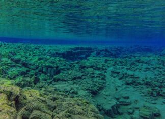 Ile kosztuje wymiana butli co2? Ile kosztuje wymiana butli co2?