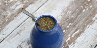 Ile razy dziennie pić yerba mate?