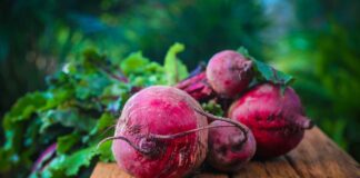 Czy można jeść codziennie buraki?