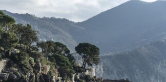 Ile kosztuje nabicie butli CO2 6kg?