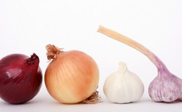 Ile kosztuje kg cebuli 2023?